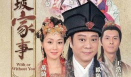 东坡家事粤语在线观看,穿越时空的家族传奇