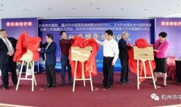 东莞中医院爆料新闻最新,揭秘医院内部惊人真相