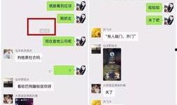 大连冰冰爆料仙洋视频,真相背后引人深思