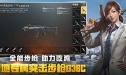 绝地求生极品爆料视频大全,揭秘极品爆料视频大全，带你领略游戏魅力