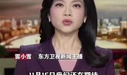 金莎最新爆料新闻报道视频,揭秘娱乐圈不为人知的幕后故事