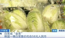 韩国泡菜爆料事件视频,真相与争议全解析