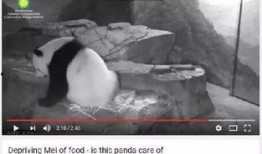 美国网友爆料地球人视频,美国网友曝光地球人神秘视频引发全球热议