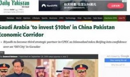 美媒体最新爆料巴基斯坦,美媒最新爆料揭示惊人内幕”