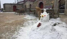 爆料下雪了视频大全高清,下雪了视频大全高清，捕捉雪景之美