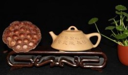 紫砂新鲜爆料图片欣赏视频,新鲜爆料图片带你领略艺术之美