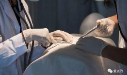 爆料癌症病人视频大全最新,视频大全背后的感人故事