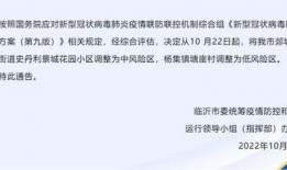 临沂市新闻热线爆料,惊现重大事件，详情即将揭晓！