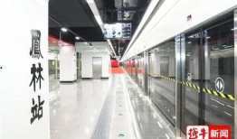 地铁最新的大爆料事件,揭秘神秘事件背后的真相