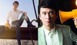 王思聪私信博主爆料视频,揭秘娱乐圈不为人知的幕后故事