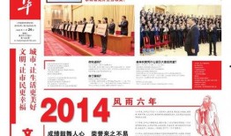 今日菜价爆料新闻报道视频,视频揭示市场动态与价格走势