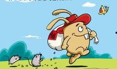 娱乐吃瓜小兔兔微博号,揭秘娱乐圈那些吃瓜趣事