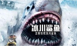 冰川鲨鱼在线观看,深海奇遇，惊险探险在线直播