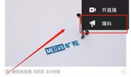 今日头条爆料项目,揭秘热门话题背后的真相与趋势