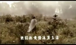 春妇传电影在线观看,穿越时空的爱恋在线观影指南