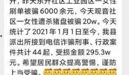 最新爆料杀猪盘,网络诈骗新手段，警惕陷阱！