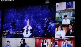 新瓜最新爆料歌手视频,歌手神秘视频引热议，幕后真相即将揭晓