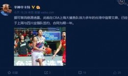 六周年直播爆料视频下载,精彩爆料视频背后的故事与亮点