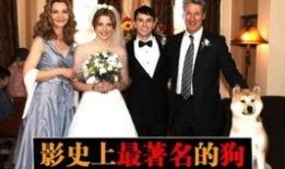 嘿疯先生电影在线观看