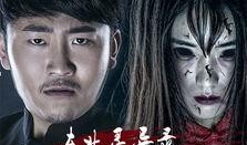 东北灵异录在线观看,揭秘神秘事件，在线惊悚揭秘