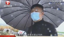 吃瓜看网红视频是什么梗,揭秘网络红人的幕后生活