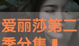 爱丽莎 在线观看,在线观看，揭开神秘面纱的奇幻之旅
