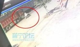 揭阳最新车祸爆料视频