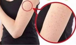 除夕吃鸡皮肤爆料最新版,鸡年新皮肤惊艳亮相！