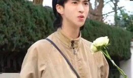 娱乐八卦吃瓜背景图高清图片,揭秘高清吃瓜图背后的娱乐八卦