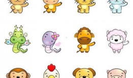 在线观看十二生肖,探寻生肖背后的神秘力量与传奇故事