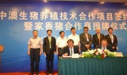 新澳今日最新爆料新闻网,揭秘热点事件背后的真相！”