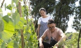 爆料川乡小妹乙肝的视频,揭秘乙肝传播真相与预防措施