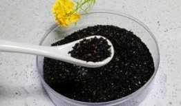 黑芝麻丸爆料怎么做视频,揭秘爆款短视频制作秘诀