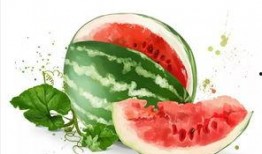 吃瓜通天短剧免费观看全集,免费解锁短剧全集，揭秘娱乐圈幕后风云