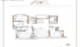 戈雅爆料最新消息,揭秘娱乐圈最新动态与幕后真相