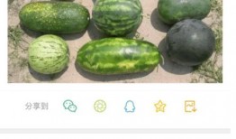 新瓜最新爆料全部,揭秘娱乐圈最新热点事件全貌