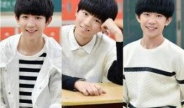 娱乐圈爆料王源圈外女友,揭秘娱乐圈爆料王源神秘圈外女友