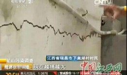 瑞昌最新爆料新闻,揭秘惊人真相，震惊全城！