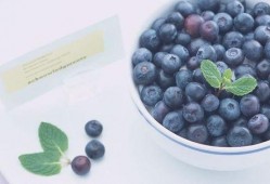 娱乐吃瓜酱母亲吃蓝莓